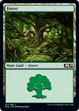 Forest (277) Forest (277)