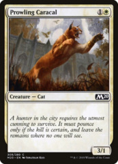 Prowling Caracal - Welcome Deck Exclusive