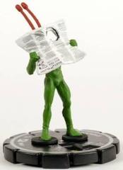 Ambush Bug