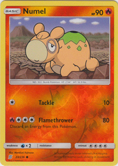 Numel - 23/236 - Common - Reverse Holo