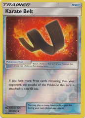 Karate Belt - 201/236 - Uncommon - Reverse Holo