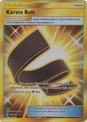 Karate Belt - 252/236 - S&M Unified Minds Secret Rare