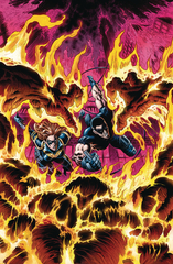 Nightwing Burnback Tp (STL133925)