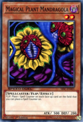 Magical Plant Mandragola - SBSC-EN001 - Common - 1st Edition