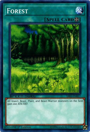 Forest - SS03-ENB17 - Common - 1st Edition