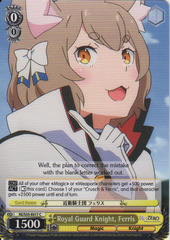 RZ/S55-E017 C Royal Guard Knight, Ferris