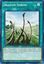 Dragon Shrine - SDRR-EN028 - Common - 1st Edition