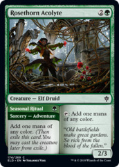 Rosethorn Acolyte - Foil