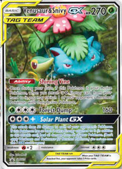 Venusaur & Snivy GX - SM229 - SM Black Star Promo