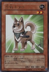 Shiba-Warrior Taro - YAP1-JP009 - Ultra Rare - Limited Edition