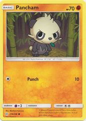 Pancham - 119/236 - Common