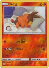 Tepig - 31/236 - Common - Reverse Holo