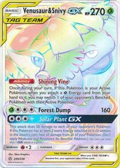 Venusaur & Snivy Tag Team GX - 249/236 - Secret Rare