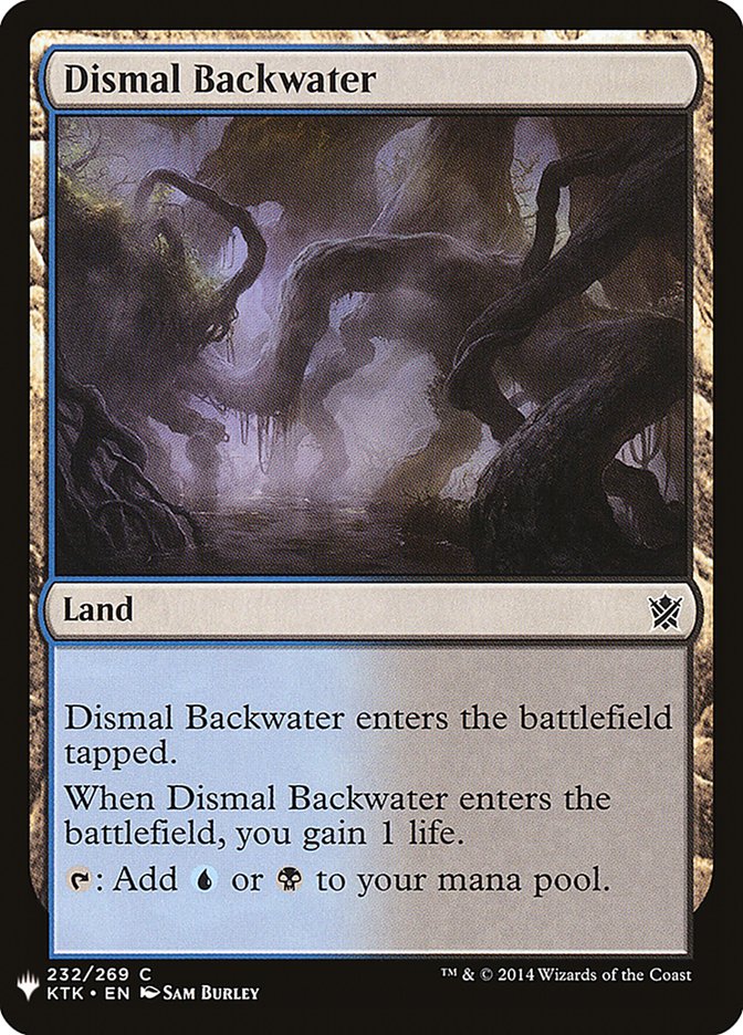 Dismal Backwater