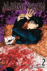 Jujutsu Kaisen Gn Vol 02 (STL141319)