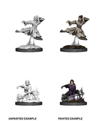 D&D Nolzurs Marvelous Miniatures: Female Human Monk