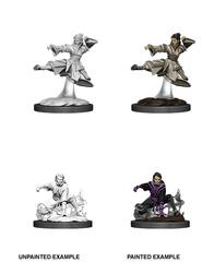 Dungeons & Dragons Nolzur`s Marvelous Unpainted Miniatures W11 Female Human Monk