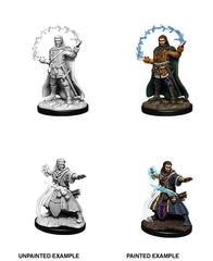 D&D Nolzur's Marvelous Miniatures: Male Human Wizard W11