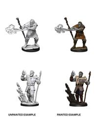 D&D Nolzur's Marvelous Miniatures: Male Firbolg Druid