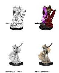 D&D Nolzur's Marvelous Miniatures: Lich & Mummy Lord