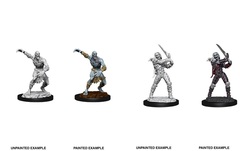 D&D Nolzur's Marvelous Miniatures: Wight & Ghast