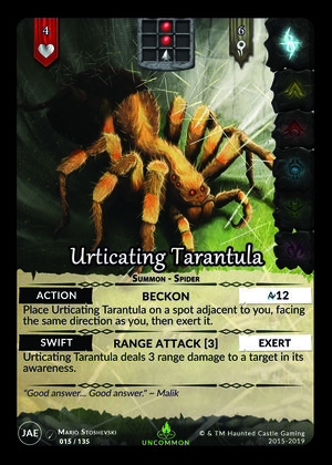 Urticating Tarantula