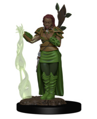 Human Female Druid