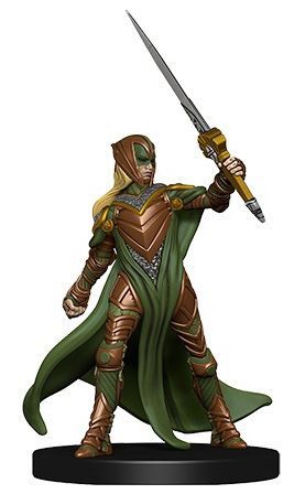Armored Elf Soldier