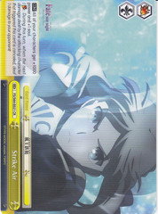 Strike Air - FS/S64-E021 - CR