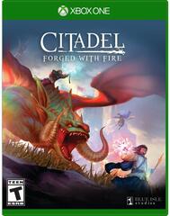 Citadel: Forged with Fire