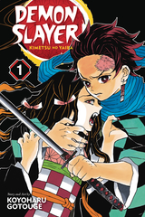 Demon Slayer Kimetsu No Yaiba Gn 01 (STL080080)