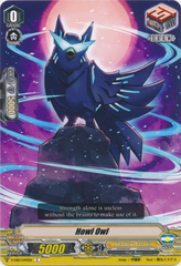 Howl Owl - V-EB12/043EN - C