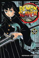 Demon Slayer Kimetsu No Yaiba Gn Vol 12 (STL150686)