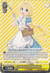 To the Cave in the North, Alice - SAO/S65-E001 - RR
