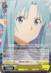Information About the Virtual World, Asuna - SAO/S65-E010 - U