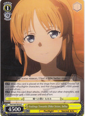 Feelings Towards Older Sister, Selka - SAO/S65-E018 - C