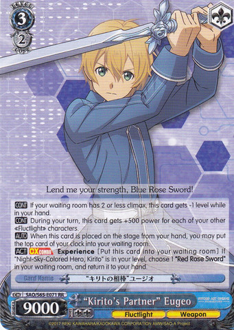 Kiritos Partner Eugeo - SAO/S65-E071 - RR