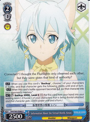 Information About the Virtual World, Sinon - SAO/S65-E084 - U