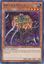 Ibicella Lutea - IGAS-EN027 - Rare - Unlimited Edition