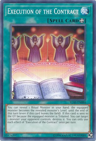 Execution of the Contract - IGAS-EN084 - Common - Unlimited Edition