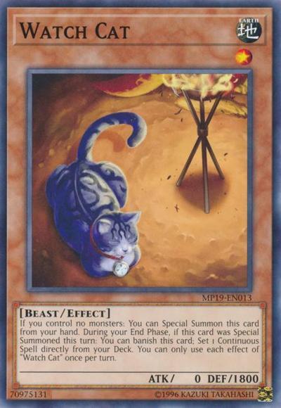 Watch Cat - MP19-EN013 - Common - Unlimited Edition