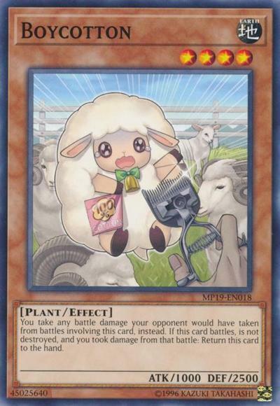 Boycotton - MP19-EN018 - Common - Unlimited Edition