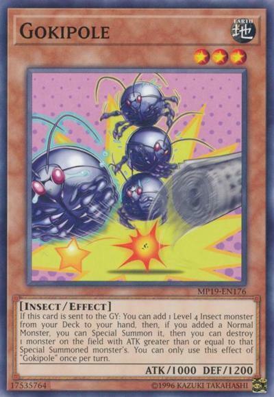 Gokipole - MP19-EN176 - Common - Unlimited Edition