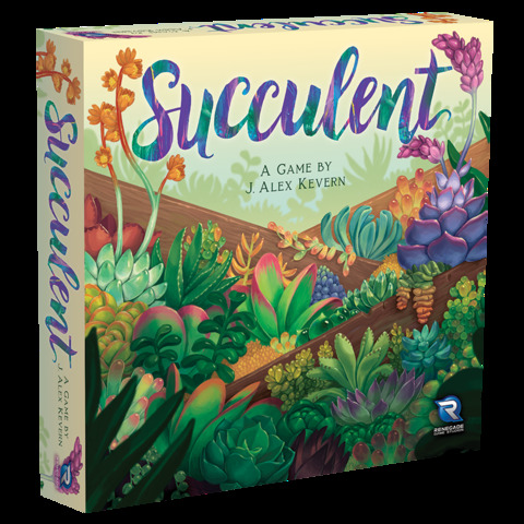 Succulent
