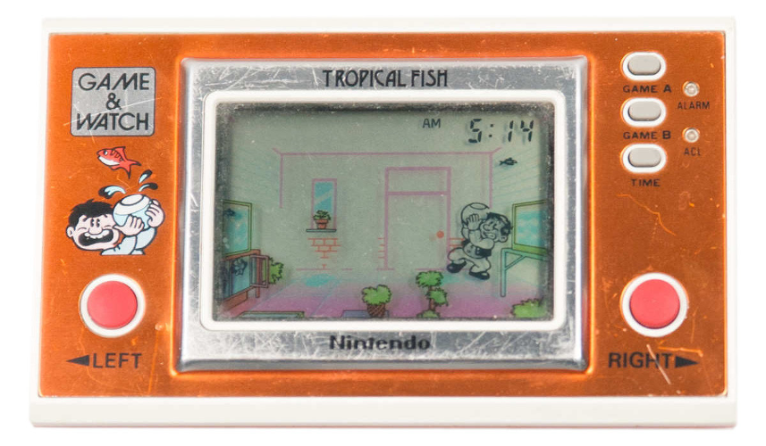 Tropical Fish [TF-104]