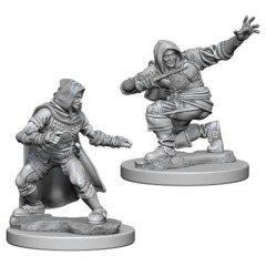 Pathfinder Battles Unpainted Minis - Human Male Rogue