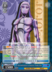 Determination to Uncover Truth, M.J - JJ/S66-E082 - U
