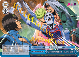 Determination to Awaken - JJ/S66-E098J - JJR