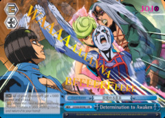 Determination to Awaken - JJ/S66-E098J - JJR