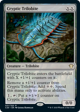 Cryptic Trilobite